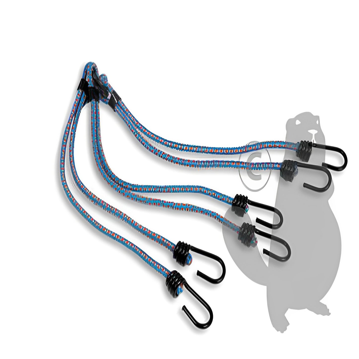 Sandow pieuvre 6 BRAS, Ø 8mm X 60cm