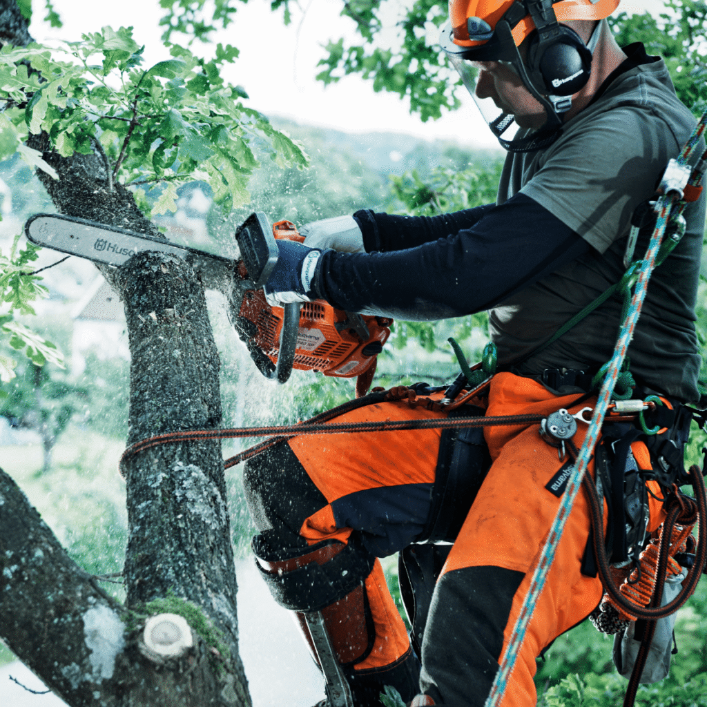 ELAGUEUSE T540XP HUSQVARNA